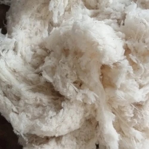 FS Cotton Waste
